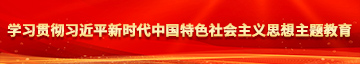 插入嫩穴视频学习贯彻习近平新时代中国特色社会主义思想主题教育