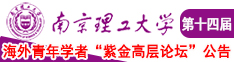 大鸡吧草逼南京理工大学第十四届海外青年学者紫金论坛诚邀海内外英才！